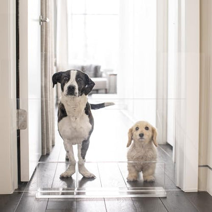 Hiddin Low Clear Freestanding Pet Gate – 32 Inch Wide Modern Acrylic Dog & Cat Barrier Panel – Transparent No-Installation Indoor Pet Fence for All Spaces – Stylish Home Safety Solution - size: 32" Width