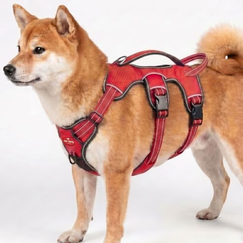 Tuff Pupper Escape Proof No Escape Dog Harness | 5 Point Adjustable Fit Harness for Dogs | Padded Dog Harnesses | Handle Dog Lift Harnesses - color: March Red, size: Medium: 22-27 Inch Chest