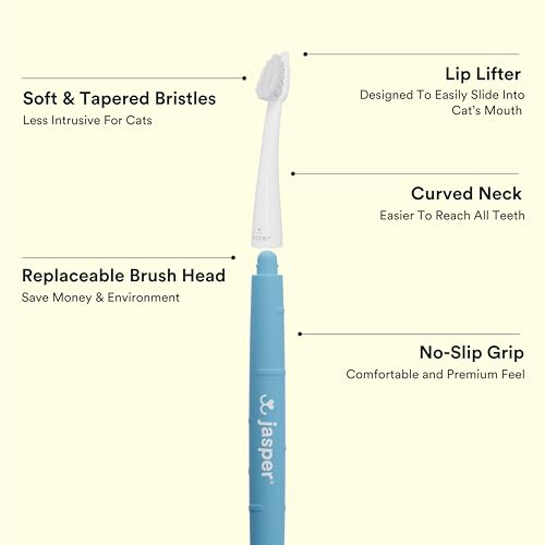 Jasper Microbrush Vet Approved Cat Toothbrush, Soft-Bristled Toothbrush Kit for Felines & Small Dogs, Non-Slip Handle with 2 Replaceable Tooth Brush Heads, Use with Cat Toothpaste, 2-Pack, Gray Mist - color: Gray 2 Pack