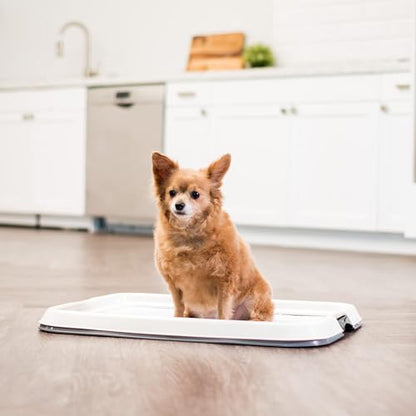 IRIS USA Pee Pad Holder for Dogs and Puppies, Potty Training Tray with Secured Latches, Non-Skid Feet, Leak Protection, Easy Clean Surface, Fits 17"x 23" Puppy Pads Size, Dark Gray - color: Dark Gray, size: 17" x 23"