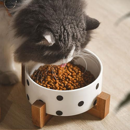 Petygooing Ceramic Dog Bowl Set with Stand, Small Pet Bowls, Anti-Slip Cat & Dog Food and Water Bowl Set (13.5OZ/5.1 in) Black Dot - color: Black Dot, size: Puppy/Small Size Dogs & Cat Bowls 400ML*2