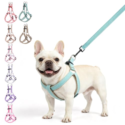 BEAUTYZOO Adjustable No Pull Dog Harness and Leash Set, Linen Style Woven Webbing Step-in Harness, Breathable Pet Vest for Small Medium Dogs Walking Training, Green M - color: Green, size: M(Chest:17.3-23.4")