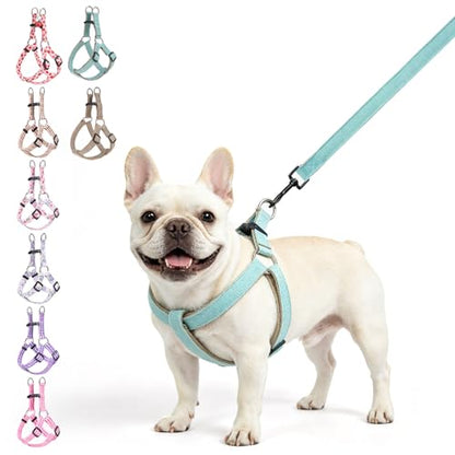 BEAUTYZOO Adjustable No Pull Dog Harness and Leash Set, Linen Style Woven Webbing Step-in Harness, Breathable Pet Vest for Small Medium Dogs Walking Training, Green M - color: Green, size: M(Chest:17.3-23.4")