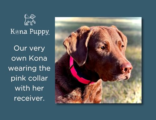 Waterproof E-Collar Replacement Strap Dog Collar for Invisible Fence/ecollar - Easy On Bungee (1" Wide, Blue) - color: Blue, size: 1" Wide