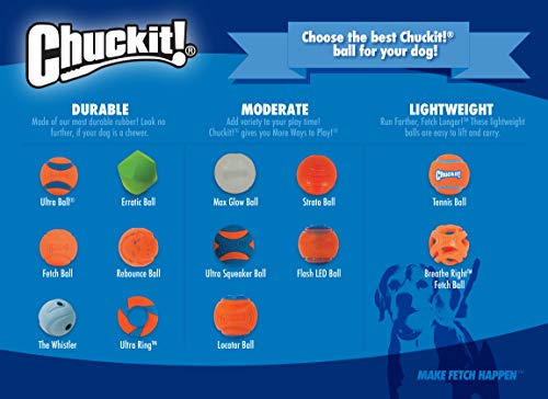 Chuckit! Glow in the Dark Bouncy Balls - Ball for Dogs, Chuckit Dog Toy, Max Glow Balls - Small, 2 Inch, Pack of 1 - size: Small