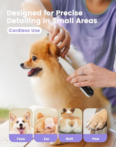 PAPMINI Dog Paw Trimmer with LED Light, 35dB Low Noise Paw Trimmers for Dog's Feet, 2 Speed Safety Electric Dog Clippers for Grooming, Rechargeable Cat Shaver for Paws, Ears, Face, Rump (White) - color: White