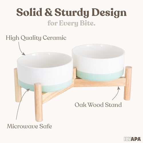 Ilyapa Ceramic Dog Bowls - Elevated for Medium Sized Pet with Raised Food and Water Set - Green Double 6 inch, 28 Oz Bowls & 13x6.3x5.5 Wooden Stand - color: Green