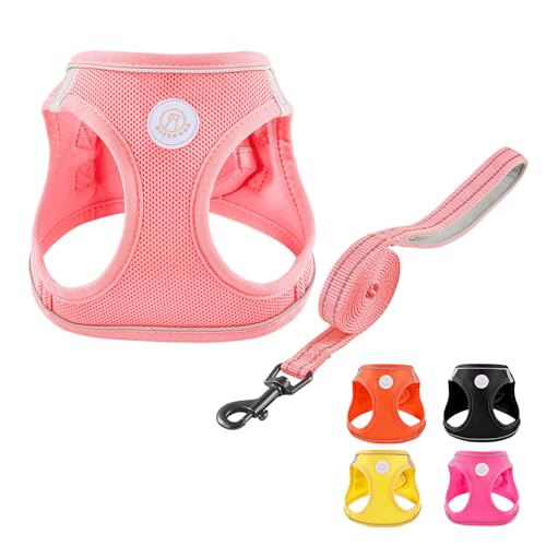 Soft Mesh Dog Harness and Leash Set, No Pull Puppy Harness and Leash Set, Reflective Step in Harness for Small Medium Dogs, Easy Walk Escape Proof Vest Harnesses (Pink, S) - color: Pink, size: S