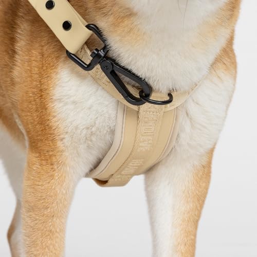 Fei & Eve Moxie Dog Harness for Small & Medium Dogs, Champagne, M | Lightweight Design, 3-Point No-Pull Control, Quick Release Metal Buckle - color: Champagne, size: M