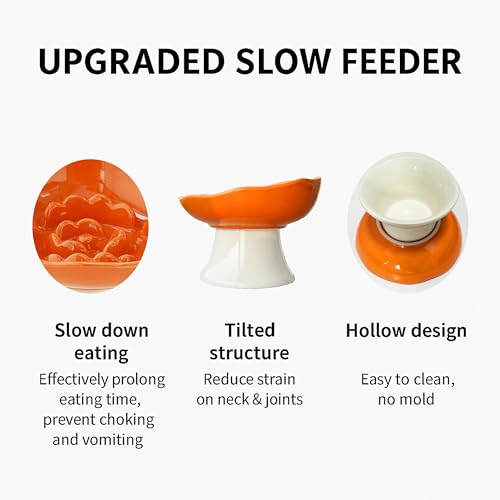 Ceramic Slow Feeder Bowl for Cats and Small Dogs, Elevated Tilted Pet Food Dish, Whisker Friendly Anti-Vomit Design, Heavy Stable Base, Dishwasher Safe， 5 Colors Options (Lemon Yellow) - color: Lemon Yellow