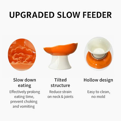 Ceramic Slow Feeder Bowl for Cats and Small Dogs, Elevated Tilted Pet Food Dish, Whisker Friendly Anti-Vomit Design, Heavy Stable Base, Dishwasher Safe， 5 Colors Options (Ruby Red) - color: Ruby Red