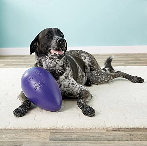 Jolly Pets Jolly Egg Dog Toy, 12 Inches/Large, Purple - color: Purple, size: Large (12 in)