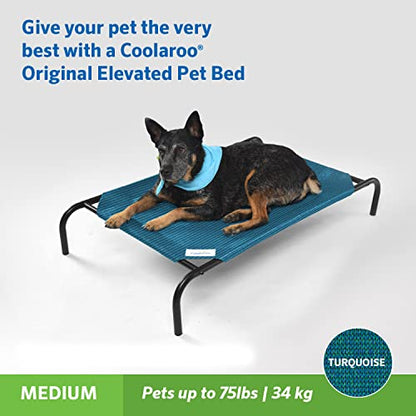 Gale Pacific Coolaroo The Original Cooling Elevated Pet Bed, Medium, Turquoise - color: Turquoise, style: Medium Dog Bed