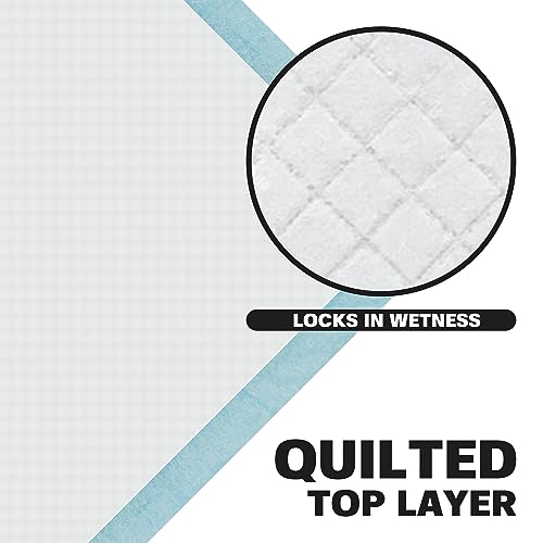 BV XXL Puppy Pads 40 Count 36" x 30" - Leak-Proof Pee Pads for Dogs with 6-Layer Design, Rapid Dry Sheet & Attractant - Dog Pad Extra Large with Odor Control - Perfect for Big Dogs & Indoor Use - size: XXL / 40-Count (Standard)