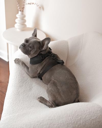 Premium No-Pull Dog Harness Soft Neoprene & Breathable Mesh Vest with Front & Back Clip D-Rings Adjustable Lightweight Walking Harness for Puppies, Small & Medium Dogs (Black, S) - color: Black, size: S: Neck=13.8-17.3''/Chest=16.1-21.3''