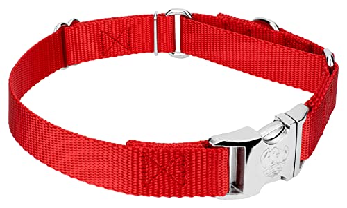 Country Brook Petz - Martingale Dog Collar - Heavy Duty Nylon Adjustable Martingale Dog Collar with Premium Buckle for Small Medium Large Breeds (5/8 Inch, Extra Small, Bright Red) - color: Bright Red, size: Extra Small (Pack of 1)