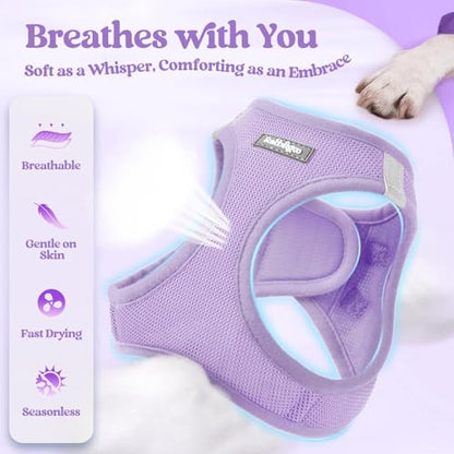 rabbitgoo Dog Harness Small Sized and Leash Set, Step in Soft Light Puppy Vest, Breathable Mesh Pet Harness, Reflective for Safe Easy Walking, Light Purple XXXS - color: Light Purple, size: Xxxs (chest: 10.8 - 11.8")