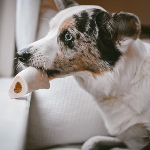 Cadet Stuffed Shin Bone, Long-Lasting Dog Chew Bones for Aggressive Chewers, High Protein Filled Bone Dental Chew for Dogs, Peanut Butter Flavor Filling, 3-4" for Small Dogs, 3 Pack - size: 3 Count (Pack of 1)