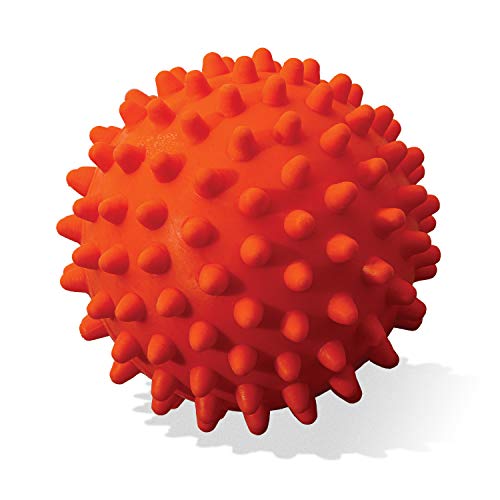 Franklin Pet Supply Co. Ready Set Fetch All Weather Ball - Launcher Ball - Slobber and Water Resistant,Orange