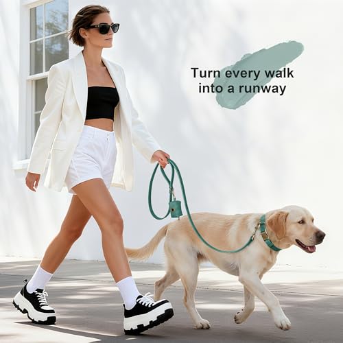 Didog Stylish Dog Poop Bag Holder for Leash, Easy-Pull and Colorful PU Leather Dog Poop Bag Dispenser with Metal Clip, Includes 1 Roll Pet Waste Bag for Daily Walking,Green - color: Green