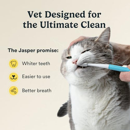 Jasper Microbrush Vet Approved Cat Toothbrush, Soft-Bristled Toothbrush Kit for Felines & Small Dogs, Non-Slip Handle with 2 Replaceable Tooth Brush Heads, Use with Cat Toothpaste, 2-Pack, Blue - color: Microbrush Kit