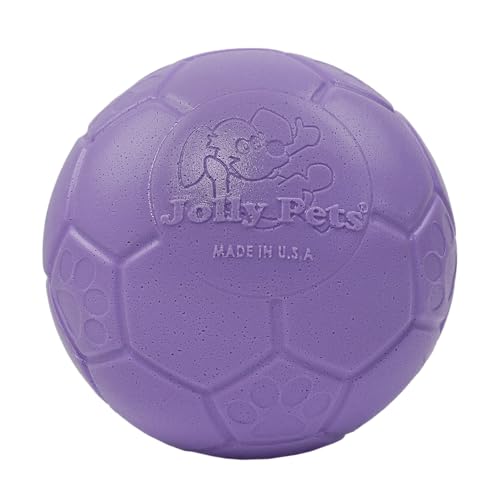 Jolly Pets Medium Jolly Soccer Ball Floating-Bouncing Dog Toy, 6" Light Purple
