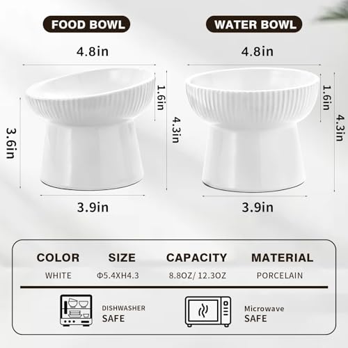 Elevated Cat Food Bowl, Ceramic Raised and Tilted Water Bowl, Whisker Fatigue Cat Bowls for Indoor Cats, Anti Vomiting and Protect Spines Pet Feeding Dishes for Kittens Small Dog, Heavy Non-Slip Base - color: White