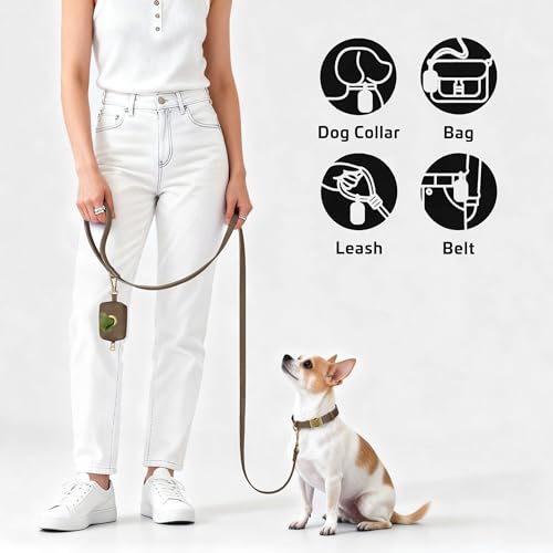 Didog Stylish Dog Poop Bag Holder for Leash, Easy-Pull and Colorful PU Leather Dog Poop Bag Dispenser with Metal Clip, Includes 1 Roll Pet Waste Bag for Daily Walking,Brown - color: Brown