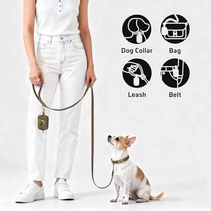 Didog Stylish Dog Poop Bag Holder for Leash, Easy-Pull and Colorful PU Leather Dog Poop Bag Dispenser with Metal Clip, Includes 1 Roll Pet Waste Bag for Daily Walking,Brown - color: Brown