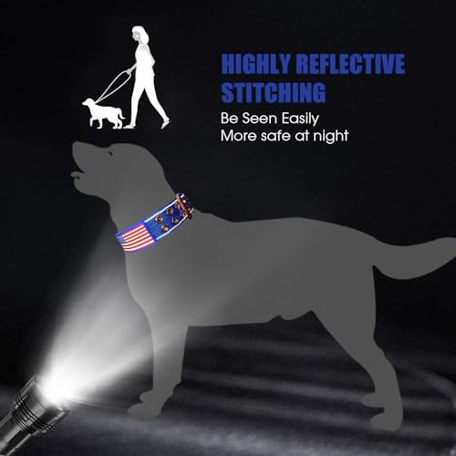 Heavy Duty Tactical Dog Collar with Neoprene Padded and Metal Buckle, Reflective Nylon for Medium to Large Dogs(Blue, Medium) - color: Blue, size: Medium (Pack of 1)