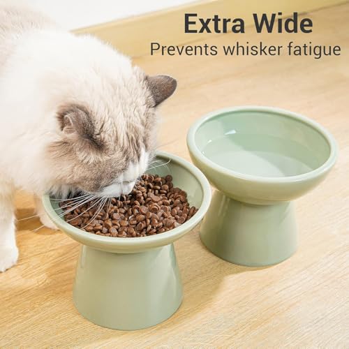 CEEFU 2 Elevated Ceramic Cat Bowls Extra Wide for Food & Water – Whisker Fatigue Shallow Food Dish, Lead & Cadmium-Free, Raised Height for Cats, Sage Green - color: Sage Green