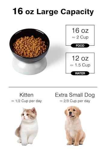 ABRUTY Cat Water Bowl, 16 OZ Ceramic Elevated Cat Bowls, 15° Tilted and Raised Pet Food Dish, Anti Vomiting Protect Pets' Spines and Whisker Fatigue, Black & Gray - color: Black & Gray, size: 1 Pack