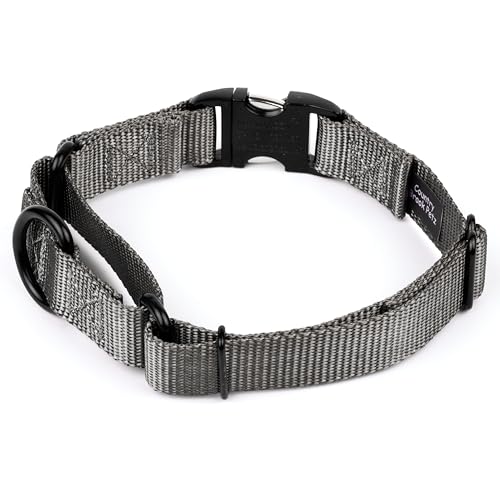 Country Brook Petz - Martingale Dog Collar - Heavy Duty Nylon Adjustable Martingale Dog Collar with Premium Buckle for Small Medium Large Breeds (5/8 Inch, Extra Small, Charcoal) - color: Charcoal, size: Extra Small (Pack of 1)