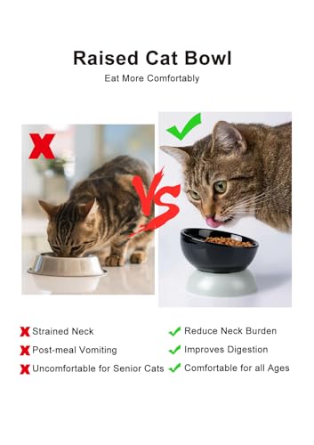 ABRUTY Cat Water Bowl, 16 OZ Ceramic Elevated Cat Bowls, 15° Tilted and Raised Pet Food Dish, Anti Vomiting Protect Pets' Spines and Whisker Fatigue, Black & Gray - color: Black & Gray, size: 1 Pack