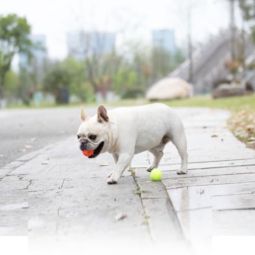 Dog Toy Balls for Small Dogs & Puppies, Chew & Chase Interactive 2” Soft Latex Balls, Durable Dogs Play Balls for Indoor/Outdoor (9 Pcs)