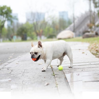 Dog Toy Balls for Small Dogs & Puppies, Chew & Chase Interactive 2” Soft Latex Balls, Durable Dogs Play Balls for Indoor/Outdoor (9 Pcs)