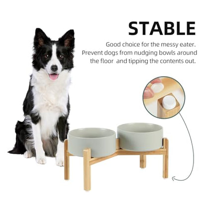 Havniva 7.3” Dog Bowls Elevated Ceramic Dog Food and Water Bowl Set, Double Raised Dog Water Bowl with Stand Non-Slip Rubber Base Large Capacity Feeding Pet Food Bowl for Medium Dogs - color: Matte Gray - 2 Bowls+Stand, size: 7.3 Inch