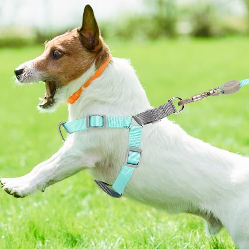 jojofuny Adjustable Escape Proof Dog Harness with Dual D-Shaped Rings, Lightweight Green Medium Pet Harness for Walking and Outdoor Use