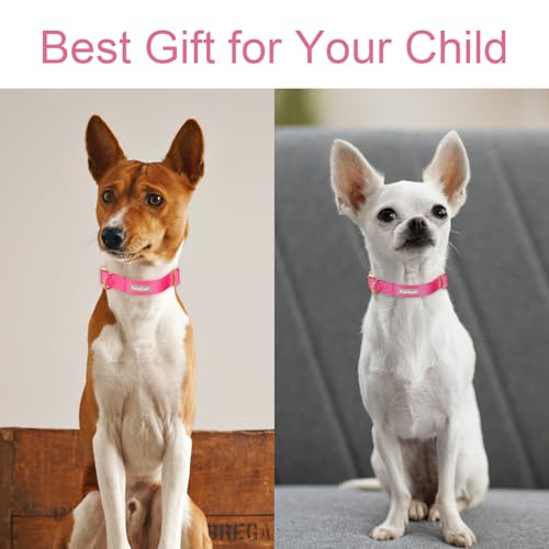 Nylon Dog Collar - Adjustable Rose Red Soft Webbing Dog Collars for Small Medium Large Dogs Boy Girl Puppy Collar with Safety Metal Buckle XS - color: Nylon-Rose Red, size: XS