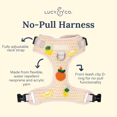 Lucy & Co. Main Squeeze Crochet No-Pull Dog Harness, Adjustable Front Clip Harness with Comfort Padding, X-Large - color: Main Squeeze, size: X-Large