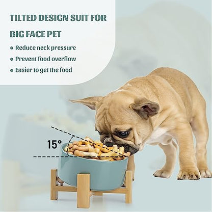 SPUNKYJUNKY 15° Slanted Ceramic Dog and Cat Bowl with Wooden Stand, Tilted Bulldog Food and Water Bowl No Slip Non-Spill for Cats Medium Dogs Big Face Pets 28.7 OZ (3.6 Cups, Light Green) - color: Light Green, size: 3.6 CUPS × 1