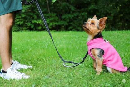 JACKO & CO - Fleece Vest Dog Sweater with Leash Ring - Soft, Warm & Lightweight Pullover Coat for Small & Medium Dogs, Puppies & Cats - Cozy Fall/Winter/Spring Pet Jacket (Pink, Small 4-6lbs) - color: Pink, size: S (4-6lbs)