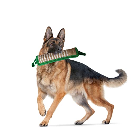 Durable Jute Dog Bite Pillow+Dog Bite Tug Toy, Durable Hard Jute Fabric,Suitable for Medium to Large Dogs (Green)