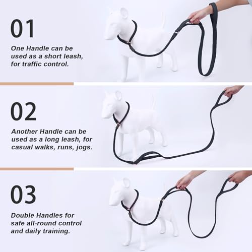 Slip Lead Dog Leash, Dog Training Leash with Double Handle, Soft Leather Slip Leash and Collar, Heavy Duty Nylon Dog Lead, No Pull Walking for Medium Large Small Dogs 5ft Black - color: Black, size: 5ft
