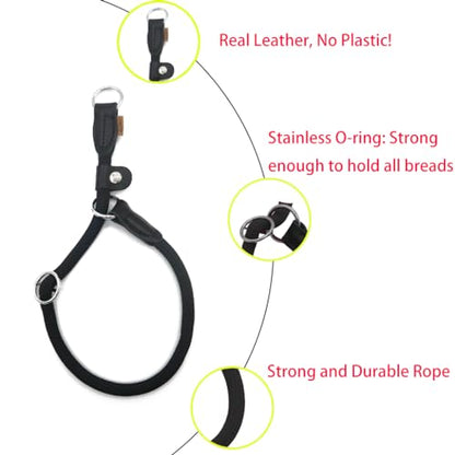 Braided Round Martingale Dog Collar, Training Collar with Slidable Stop Ring and Adjustable Stopper - Ideal for Small Dogs (S(1/4") - 14" Long, Black) - color: Black, size: S(1/4") - 14" Long with stopper