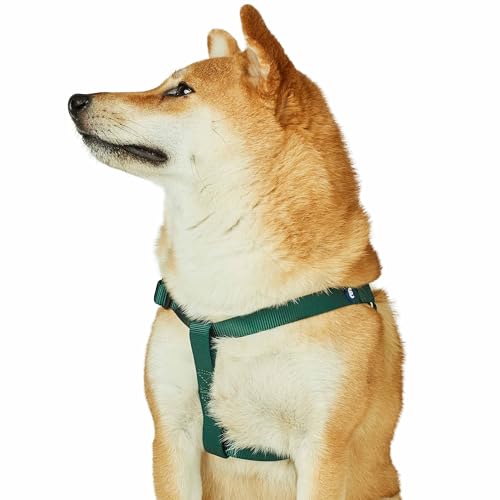 Blueberry Pet Essentials Step-in Dog Harness, Small Size | Adjustable Verdant Green Vest | Classic Solid Nylon for Boy & Girl Dogs, Chest Girth 16.5" - 21.5" - color: Verdant Green, size: Small