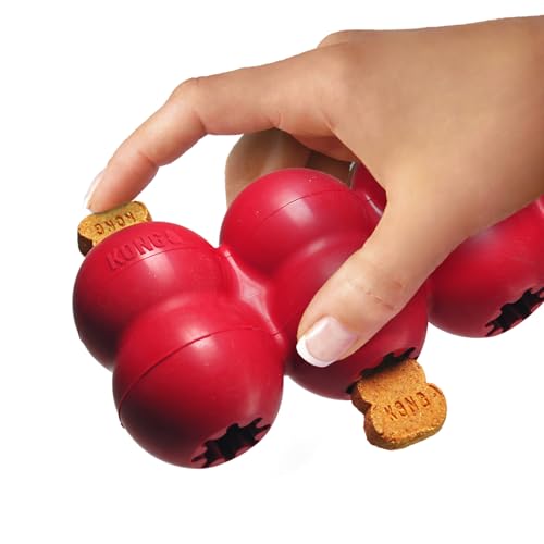 KONG Goodie Ribbon - Stuffable Natural Rubber Dog Toy - with Four Fillable Goodie Grippers for Enrichment Play - Bone-Shaped Chew Toy - for Small Dogs - size: Small (Pack of 1)