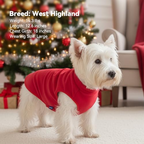 cyeollo 2 Pack Small Dog Sweater, Stretchy Dog Sweatshirt Soft Fleece Reflective Pullover Jacket Pet Puppy Clothes Boy Cold Weather Christmas Sweaters for Small Dogs Girl, Red & Buffalo Plaid S - color: Red & Buffalo Plaid, size: Small