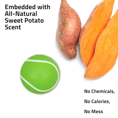 Playology Dog Toys | Squeaky Chew Ball for Dogs | Sweet Potato Scented Medium Dog Ball | Bouncy Floating Chew Toys for Fetch - size: Medium, style: Sweet Potato