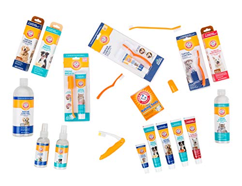 Arm & Hammer for Pets Enzymatic Dog Dental Care Kit, Chicken Flavor Toothpaste with Baking Soda for Plaque, Tartar, and Bad Breath, Double-Sided Toothbrush and Finger Brush Included, 2.5 Oz - size: 2.5 Ounce (Pack of 1)